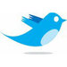 Logo - twitter icon