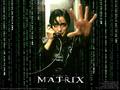 Trinity from The Matrix - the-matrix wallpaper