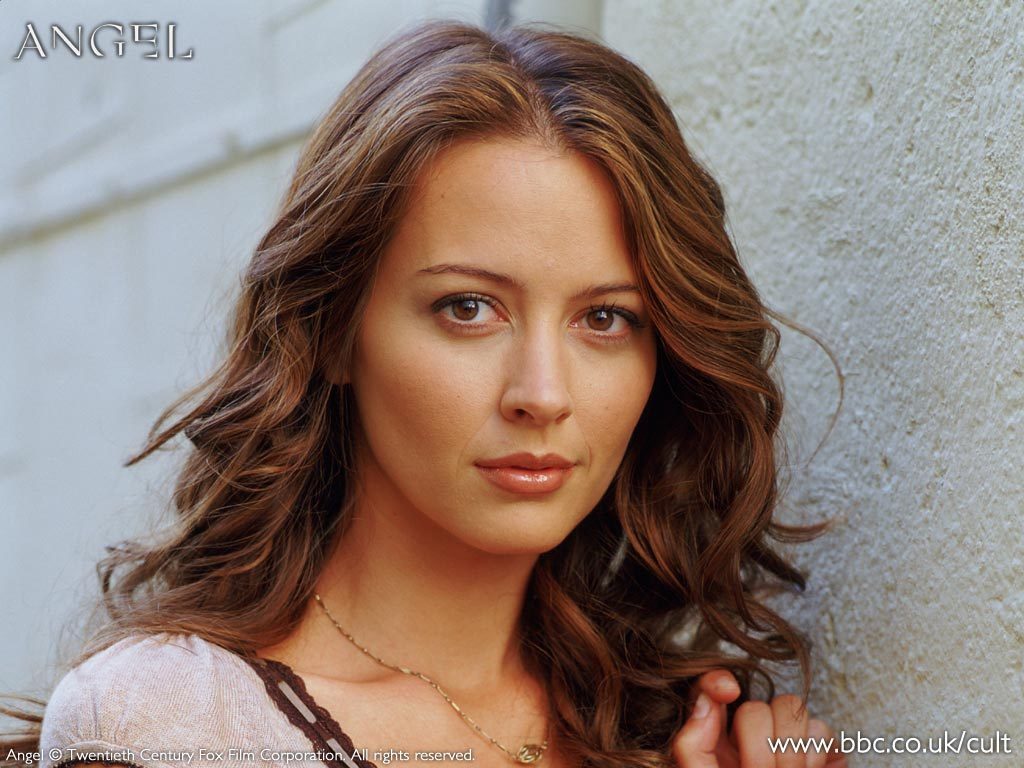 Amy Acker - Wallpaper Colection