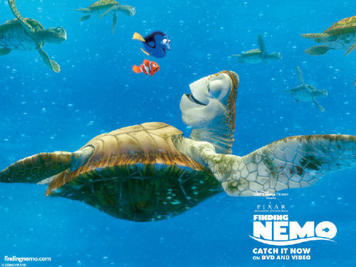 Alla ricerca di Nemo