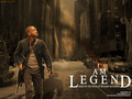 movies - i am legend wallpaper