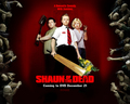 movies - shaun of the dead wallpaper