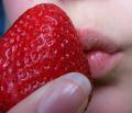 strawberry - photography photo