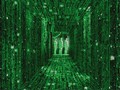movies - the matrix wallpaper