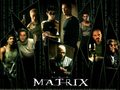 movies - the matrix wallpaper