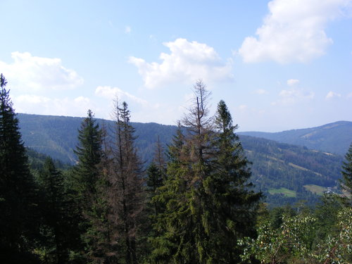  papar from the moutains of wisla