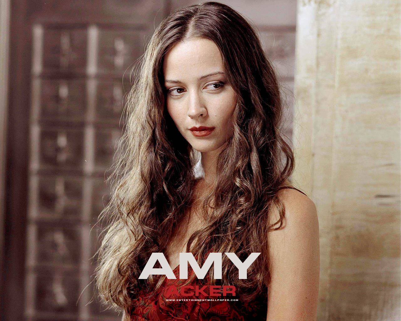 Download this Amy Acker picture