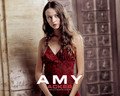 amy-acker - Amy wallpaper