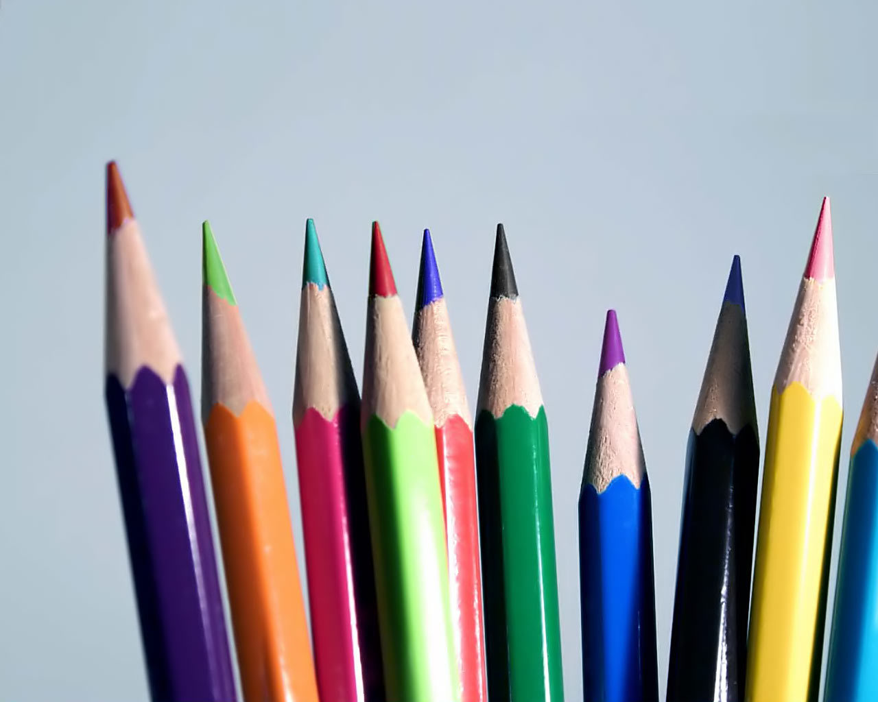 Colored Pencils - pencils wallpaper