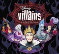 Disney Villains - disney-villains photo