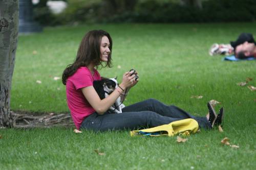 Emmy playing with her dogs in the park