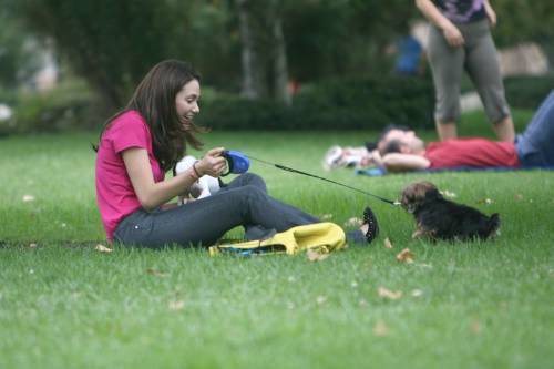  Emmy playing with her mbwa in the park