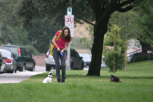  Emmy playing with her perros in the park