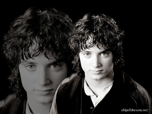  Frodo- black and white