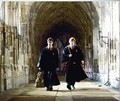 HBP Harry and Ron - harry-potter photo