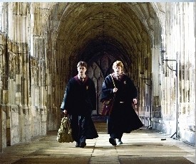  HBP Harry and Ron