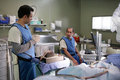 House "Adverse Events" 5.03 - house-md photo
