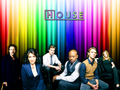 House cast - house-md wallpaper