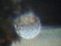 Night Circles - ufo-and-aliens photo
