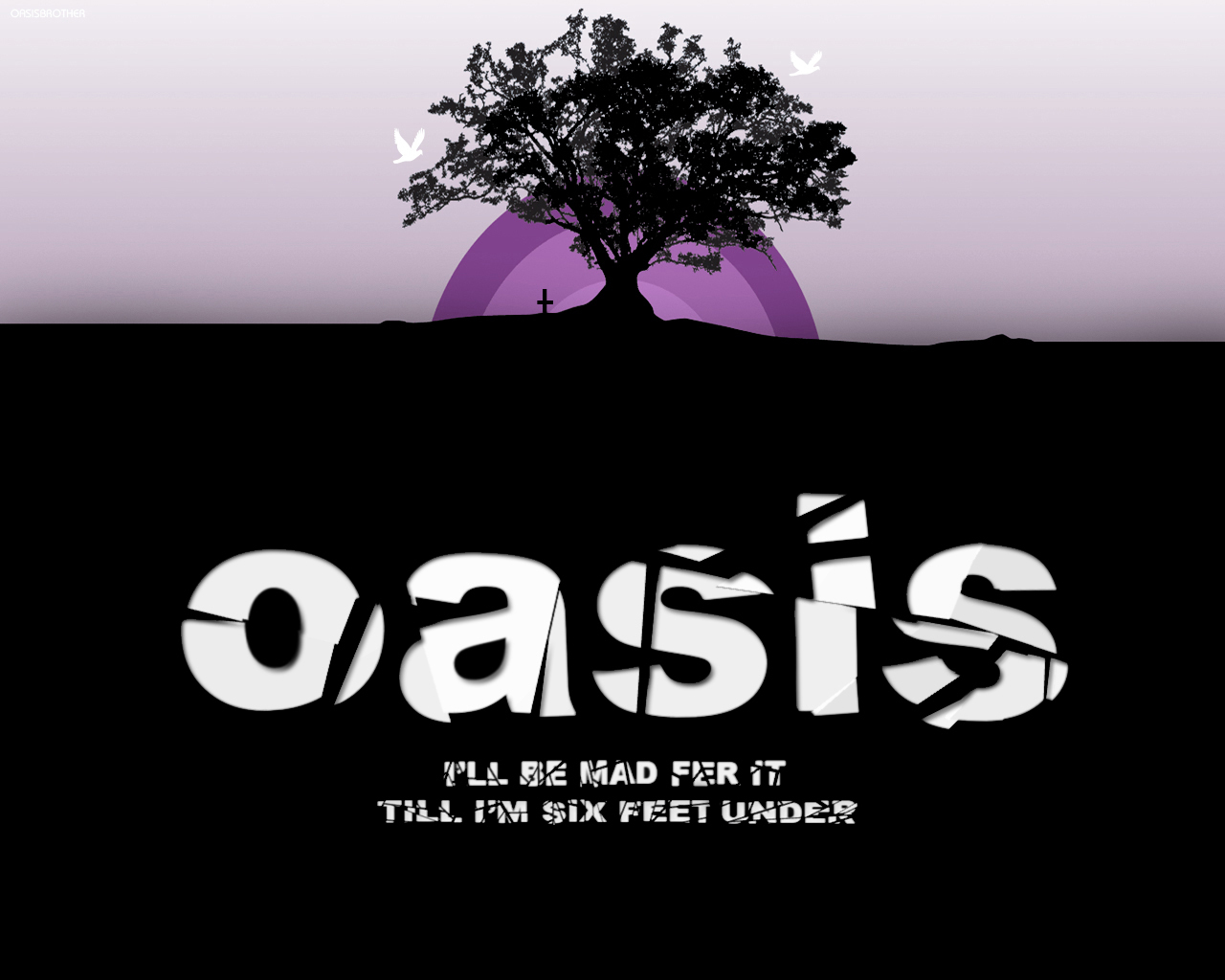 Oasis Wallpaper oasis 2352928 1280 1024