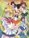 Sailor Moon pictures - sailor-moon icon