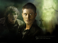 supernatural - Sam & Dean wallpaper