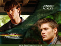 supernatural - Sam &  Dean wallpaper