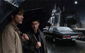 supernatural - Sam and Dean wallpaper