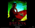 The Tribe:  Official Wallpaper - the-lost-boys-movie wallpaper