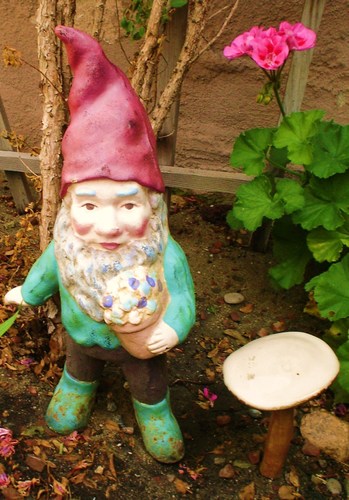  gnomes in the garden