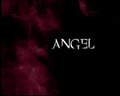 the final season special feature - angel photo