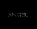 the final season special feature - angel photo