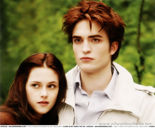  Bella and Edward - Twilight!