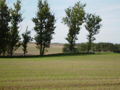  Danish landscape