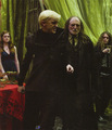 Draco Crashes Party - harry-potter photo