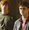 Harry and Ron - harry-potter photo