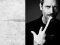 house-md - House wallpaper