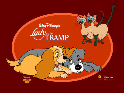  Lady and The Tramp 壁紙