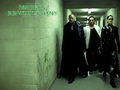 Matrix Revolutions - the-matrix wallpaper