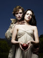 New EW photo (without tags) - twilight-series photo