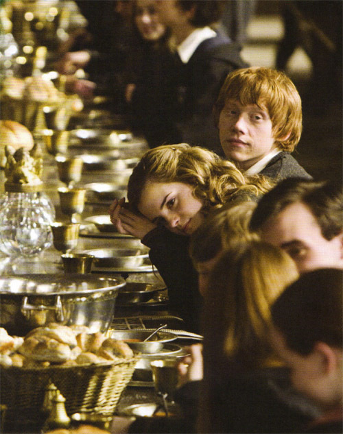 hermione harry potter. Ron and Hermione