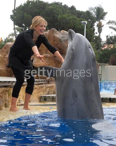 SMG with Dolphin Yesterday!