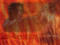 supernatural - Sam Winchester WP wallpaper