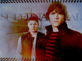supernatural - Sam and Dean wallpaper