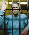 prison break - television photo