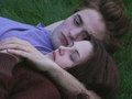 the cullens - the-cullens photo