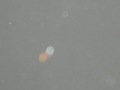 An Orange Day Circle (An alien aerostockian) - ufo-and-aliens photo