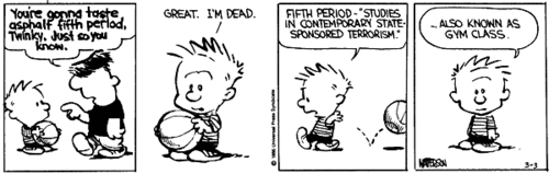  Calvin and Hobbes Comic Strips