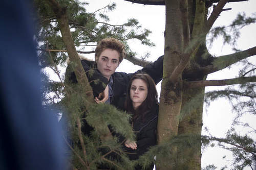  Edward Cullen and Bella 백조