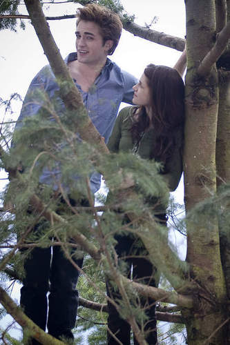  Edward Cullen and Bella zwaan-, zwaan